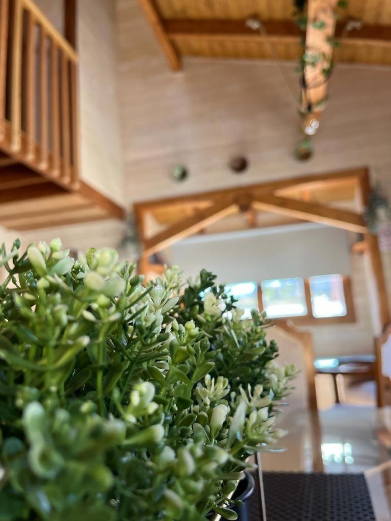 Luxury Rural Cuenca Villas Szoba fotó